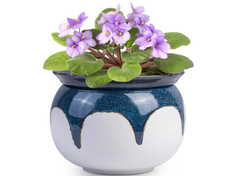 
African Violet Pots, 6 inch Ceramic Easy Self Watering Plant Pot for Busy Plant Lovers, Automatically Absorb Appropriate Amount of Water, Flower Pot