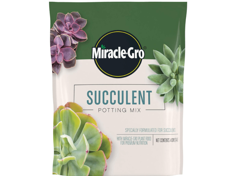 Miracle-Gro Succulent Potting Mix, For Indoor Succulents, Aloe Vera and More, Made with Miracle-Gro