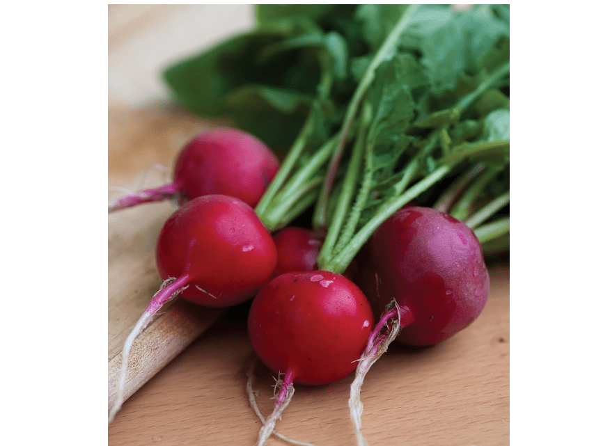 
Burpee Cherry Belle Radish Seeds 1000 seeds