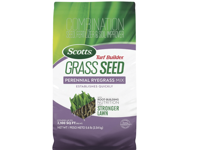 
Scotts Turf Builder Grass Seed Perennial Ryegrass Mix with Fertilizer and Soil Improver, Establishes