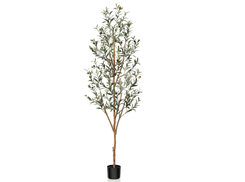 
Kazeila Artificial Olive Tree 6FT Tall Faux Silk Plant for Home Office Decor Indoor Fake Potted Tree with Wood Branches and Fruits
