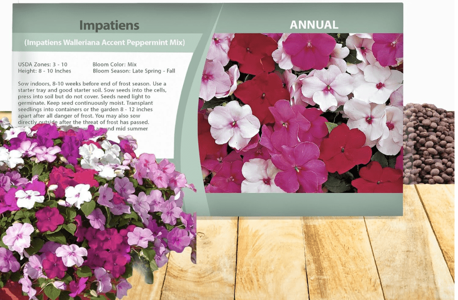 
Outsidepride Accent Peppermint Mix Impatiens Flower Seeds - 100 Pcs Annual, Compact & Pollinator Friendly, Impatiens Seeds for Planting
