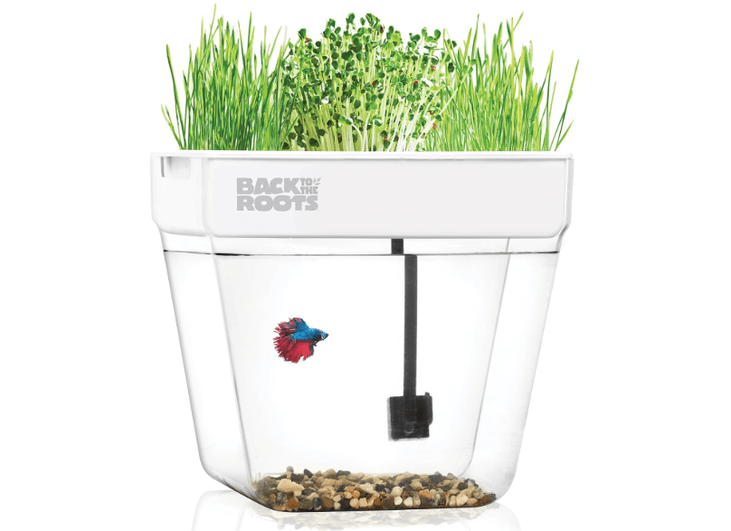 
Back to the Roots Indoor Aquaponic Garden - 3 Gallon Self Watering, Mess-Free Planter and Self-Cleaning Fishtank for Herbs, Microgreens, Bamboo, Succulents