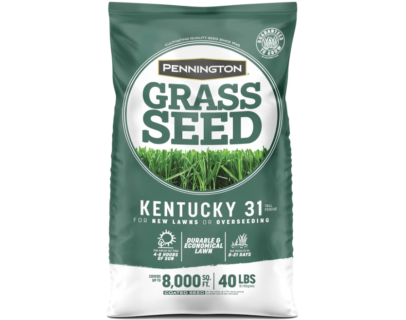 
Pennington Kentucky 31 Tall Fescue Grass Seed 