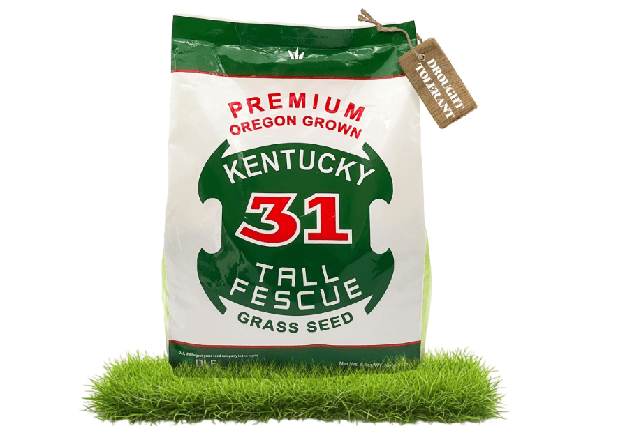 
X-Seed Oregon Grown Kentucky 31 Tall Fescue Grass Seed for Sun and Shade Drought-Resistant Lawn for High Traffic, Forage & Turf Grass – Designe