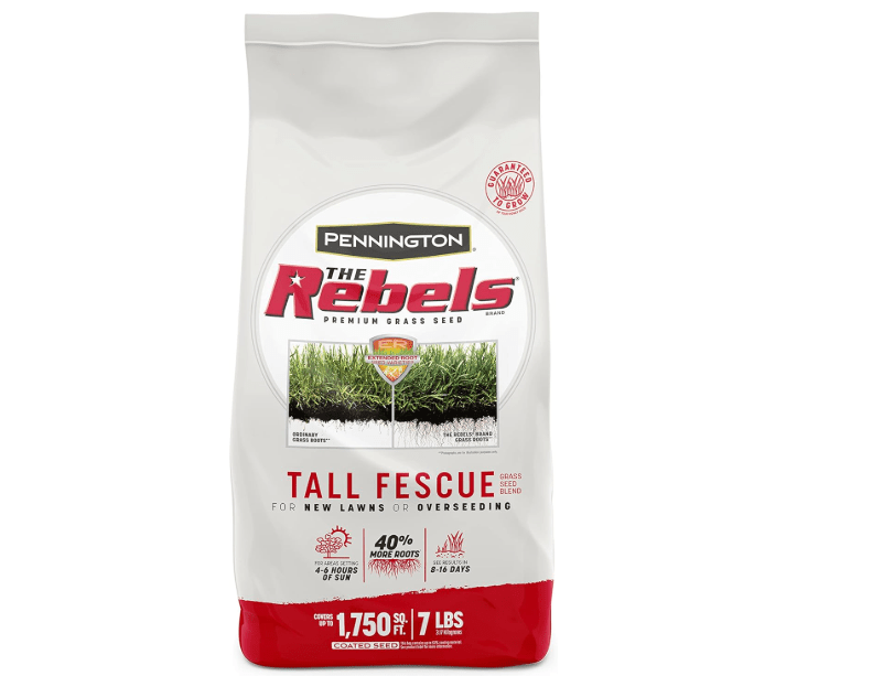  Pennington The Rebels Tall Fescue Grass Seed Mix 