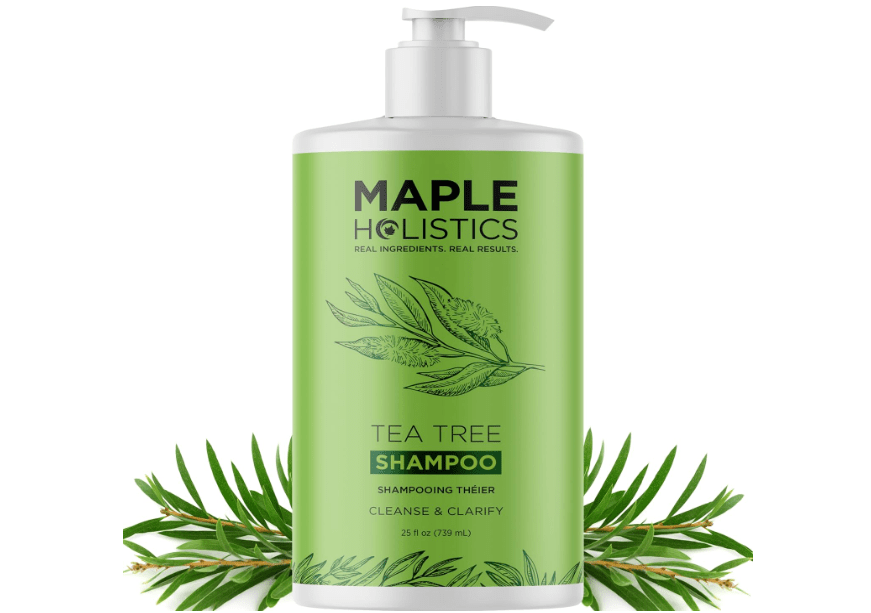 
Maple Holistics Tea Tree Oil Shampoo Sulfate Free - Deep Cleansing Vegan Tea Tree Shampoo for Oily Hair and Scalp - Daily for Build up with Rosemary.
