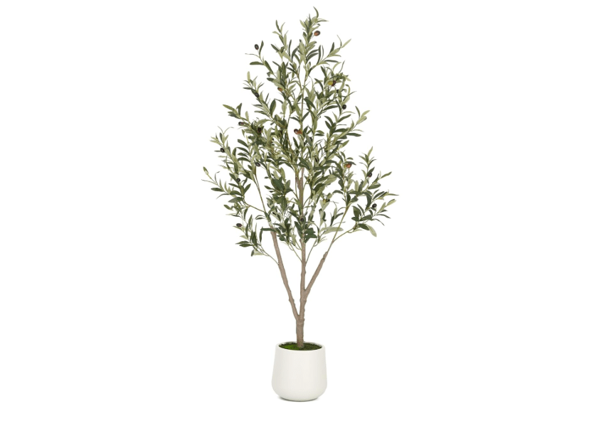 
VIVATREES Olive Trees Artificial Indoor, 5FT Tall Faux Olive Tree with White Tall Planter, Artificial Plants with Natural Wood Trunk and Lifelike Fruits for
