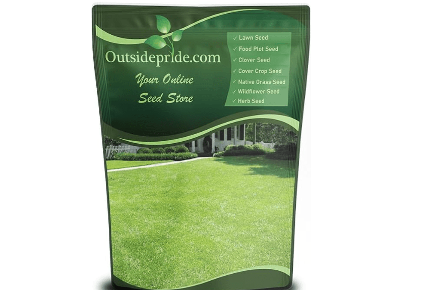  Outsidepride Centipede Grass Seed - 1 Lb Slow Growing, Shade & Drought Tolerant, Coarse Leaved Warm Season General Purpose Turf Grass Seed,