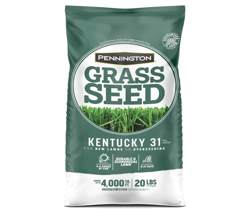 
Pennington Kentucky 31 Tall Fescue Grass Seed