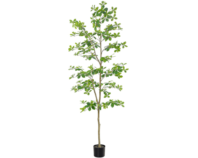 
Bellacat Faux Black Olive Tree 7ft, Tall Faux Trees Indoor with Natural Trunk and Realistic Leaves. 7 Feet(84in) Artificial Tree for Home Office Décor.