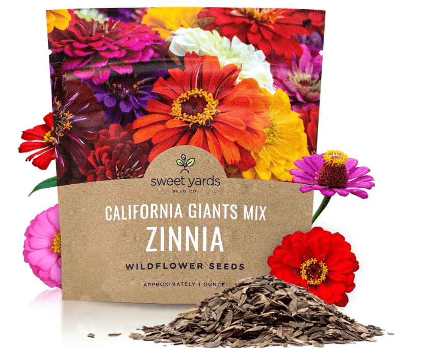 
Zinnia Seeds - California Giants Mix - Large 1 Ounce Packet - 3,000 Flower Seeds - Mixed Colors and Large Blooms