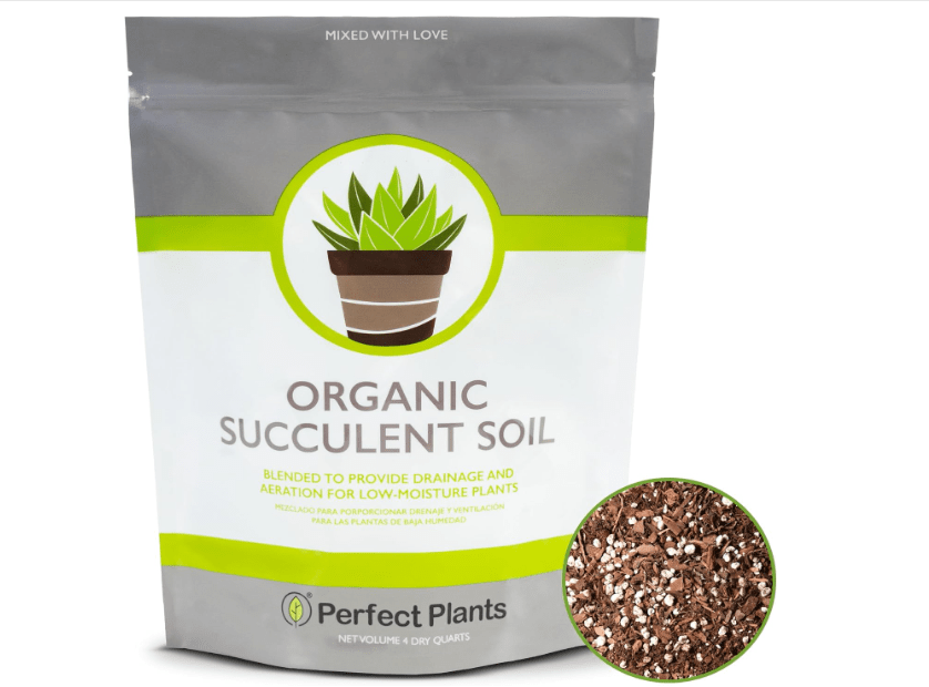 
All Natural Succulent and Cactus Soil Mix by Perfect Plants | Made in The USA | 4 Quarts for All Succulent Varieties | Formulated for Proper