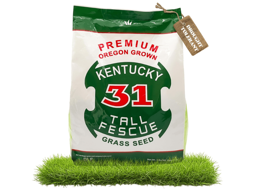 
X-Seed Oregon Grown Kentucky 31 Tall Fescue Grass Seed for Sun and Shade Drought-Resistant Lawn for High Traffic, Forage & Turf Grass – Designed for.