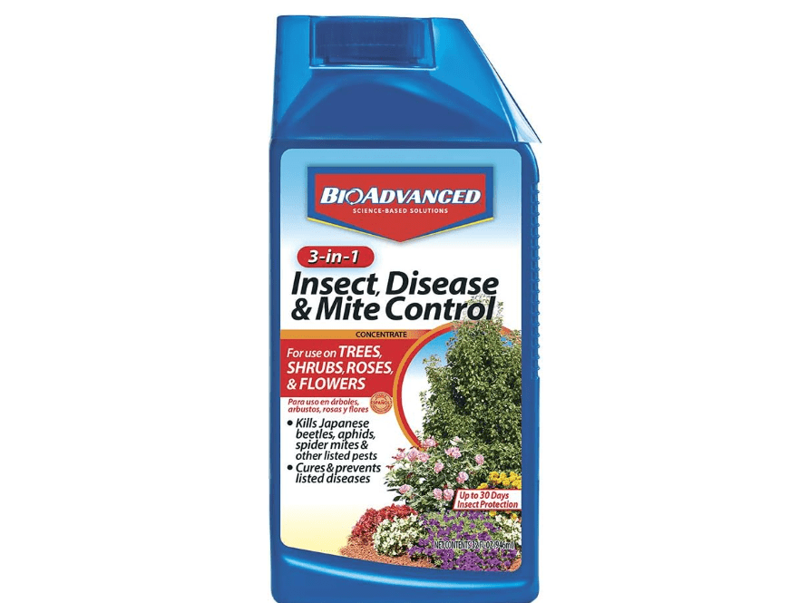 
BioAdvanced 3-In-1 Insect, Disease and Mite Control, Fungicide, Concentrate