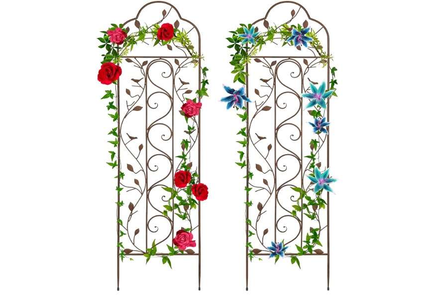  Best Choice Products Set of 2 60x15-inch Iron Arched Garden Trellis w/Branches, Birds for Lawn, Garden, Backyard, Climbing Plants