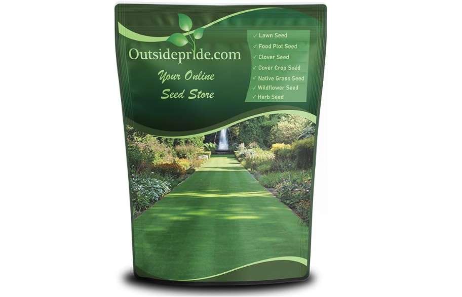  Outsidepride Legacy Fine Fescue Grass Seed Mix - 10 lbs. Shade & Sun Tolerant Blend of Hard Fescue, Chewings Fescue & Creeping Red Fescue 