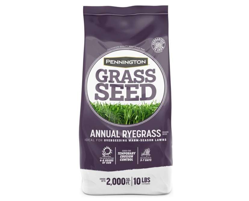 Pennington Annual Ryegrass Grass Seed 10 lb 