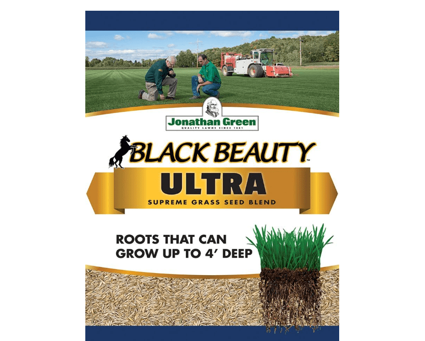 
Jonathan Green 40322 Black Beauty Ultra Grass Seed,