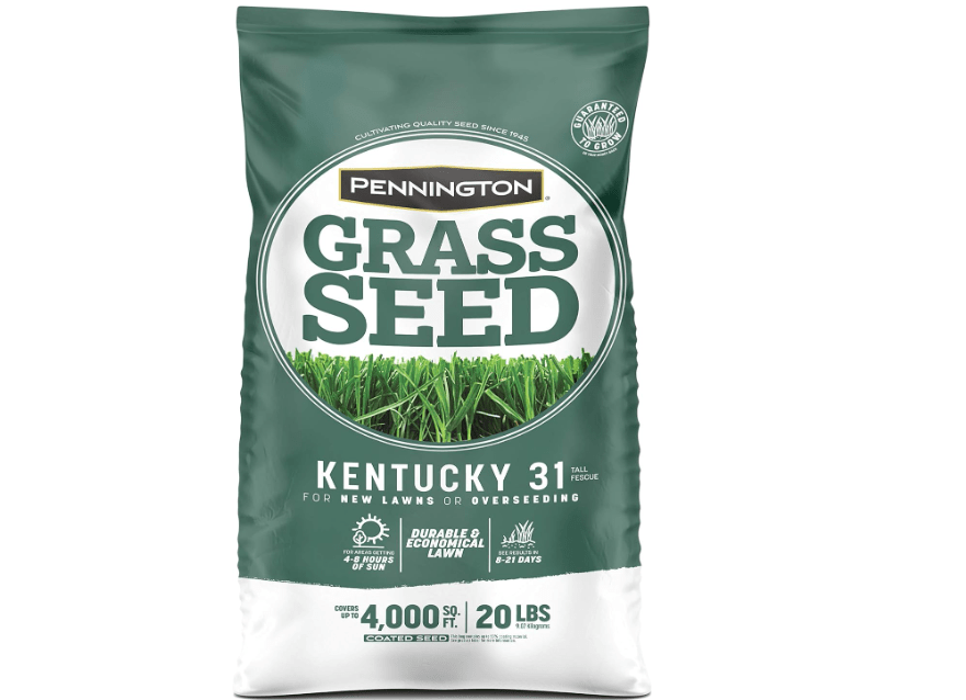 Pennington Kentucky 31 Tall Fescue Grass Seed 20 lb