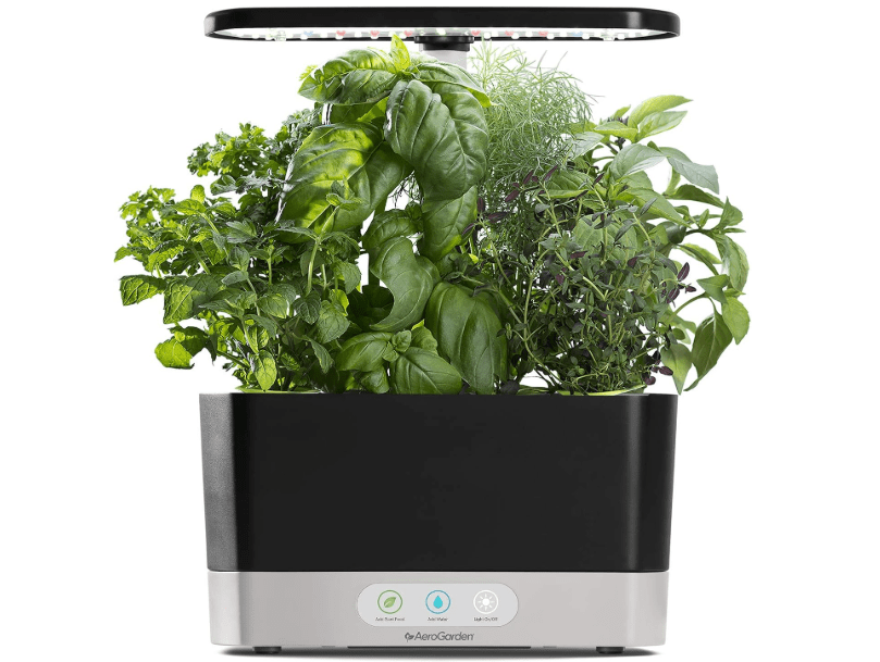 
AeroGarden Harvest Indoor Garden Hydroponic System with LED Grow Light and Herb Kit, Holds up to 6 Pods, Black
