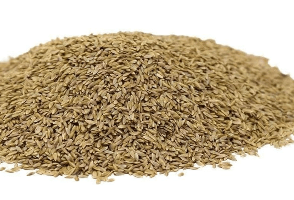 Hancock Seed Co. Common Bermuda Grass Seed - Coated & Unhulled