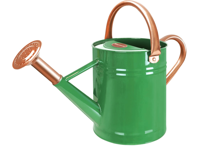 
Megawodar 1 Gallon Metal Watering Can with Removable Spout, Nice Galvanized Steel Water Can for Indoor and Outdoor Plants