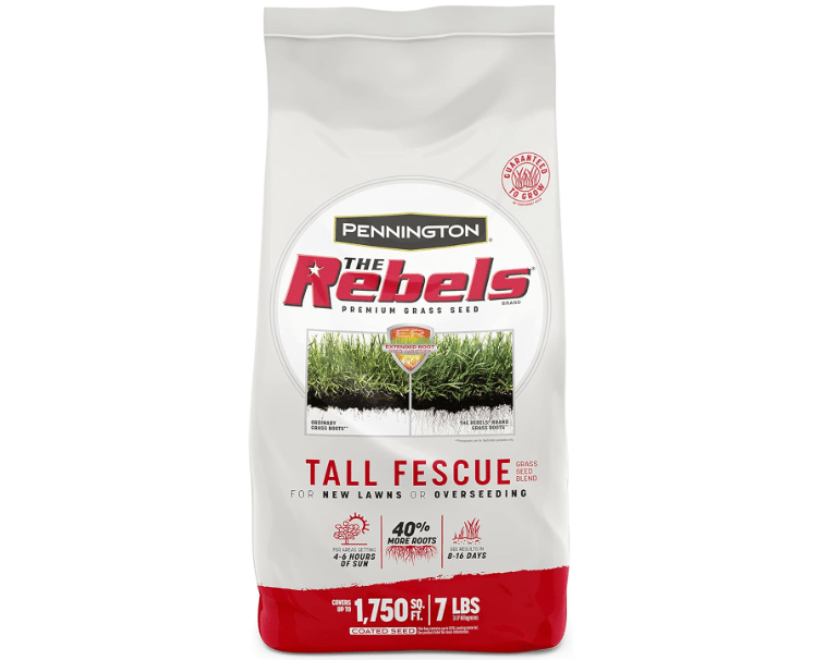 Pennington The Rebels Tall Fescue Grass Seed Mix