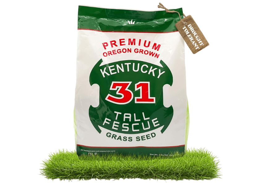  X-Seed Oregon Grown Kentucky 31 Tall Fescue Grass Seed for Sun and Shade Drought-Resistant Lawn for High Traffic, Forage & Turf Grass – Designed
