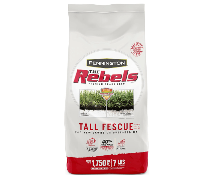  Pennington The Rebels Tall Fescue Grass Seed