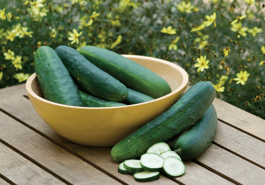 
Burpee Hybrid II Slicing Cucumber Seeds