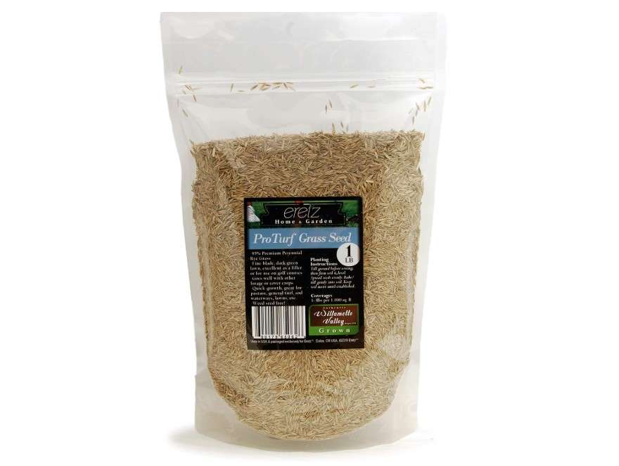 ProTurf Perennial Ryegrass Fine Lawn Seed by Eretz (1lb) - Choose Size! Premium Willamette Valley, Oregon Grown Grass Seed