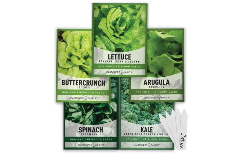 
Gardeners Basics Lettuce and Greens Heirloom Vegetable Seed Non-GMO Seeds for Planting Indoors and Outdoor - Lettuce Buttercrunch, Romaine, Arugula, Kale