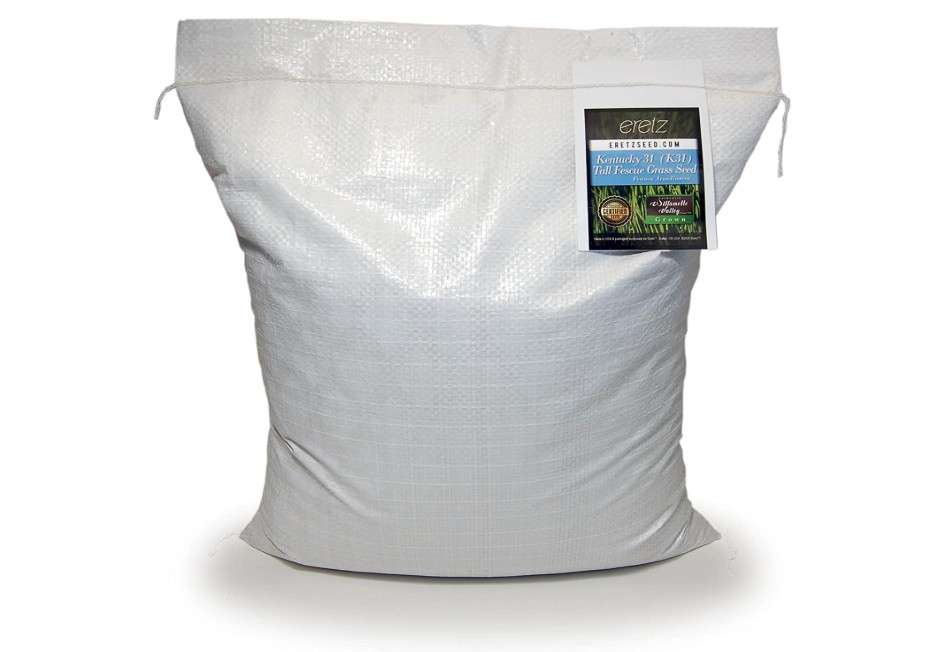  Kentucky 31 K31 Tall Fescue Grass Seed by Eretz - Choose Size! State Certified, No fillers, No Weed or Other Crop Seeds (10lbs)