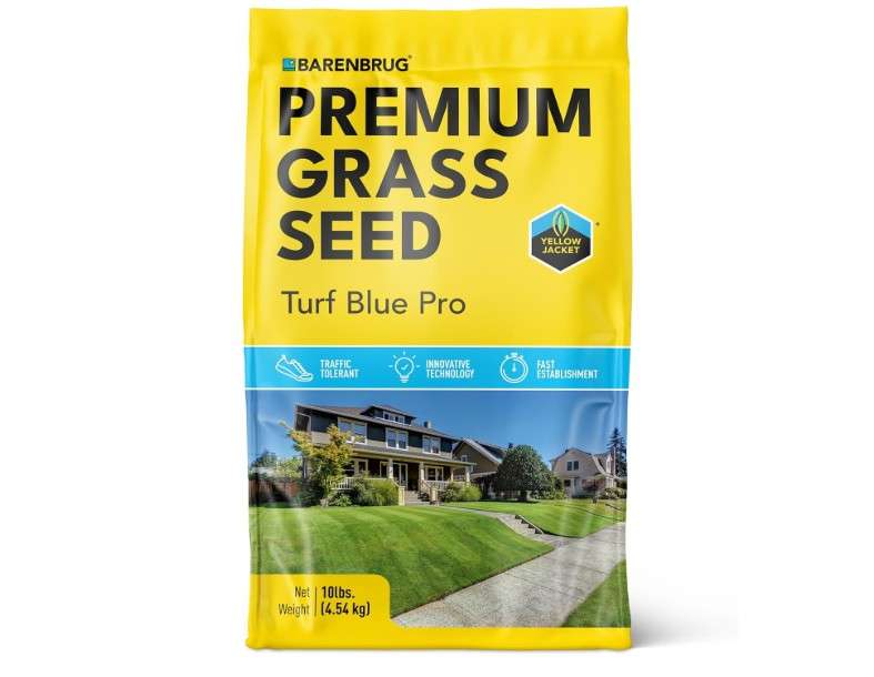 Barenbrug Turf Blue Pro Kentucky Bluegrass Lawn Seed with Yellow Jacket Seed Coating, All-Season Durable Grass Mix for Lawns, 10-lb. Bag 