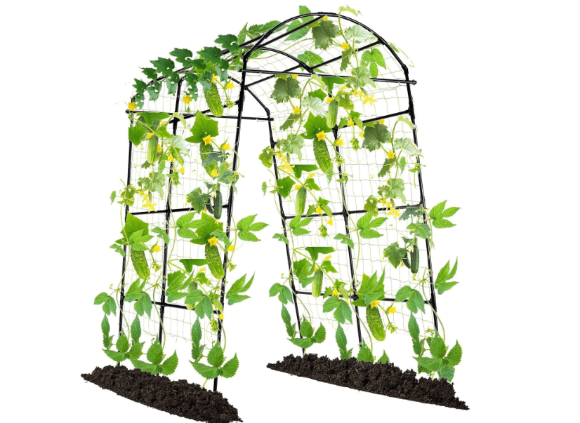 
Lalahoni Garden Arch Trellis for Climbing Plants Outdoor, 7.8 Feet Tall Metal Large Archway Arbor Trellis Vine Plant Vegetables Squash Pumpkin