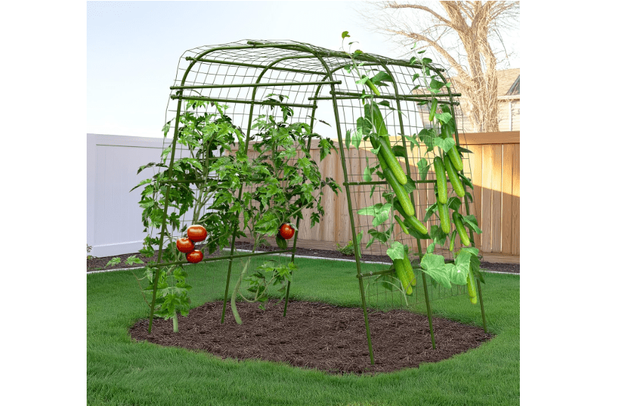 
HIRALIY Garden Arch Trellis for Climbing Plants, 6.3 ft Tall Metal Cucumber Trellis, Arch Tunnel for Tomato Grape Vine Vegetables, Plant Support Archway for
