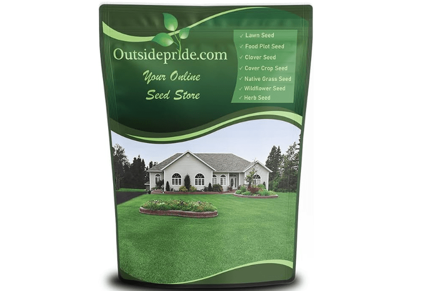 
Outsidepride Perennial Buffalo Grass Seed - 2 lbs Heat & Drought Tolerant, Low Maintenance, Warm Season Dense Turf Grass Seed for Lawn