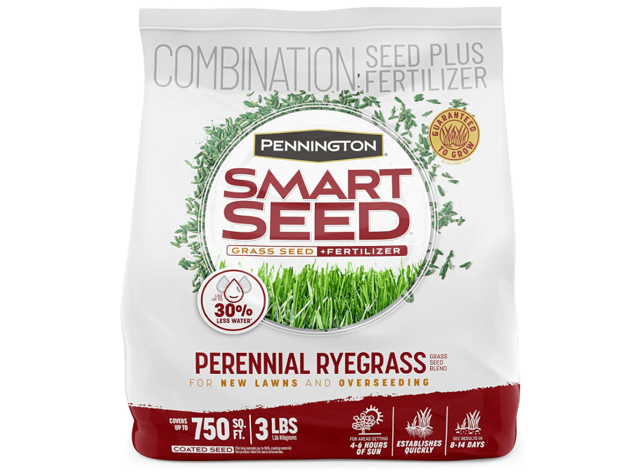 
Pennington Smart Seed Perennial Ryegrass 