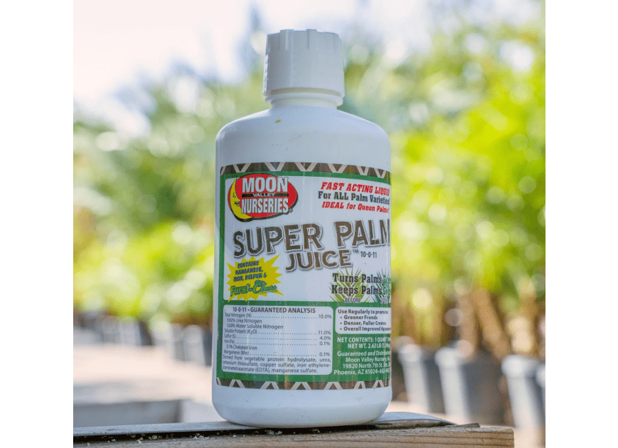 
Super Palm Juice - P