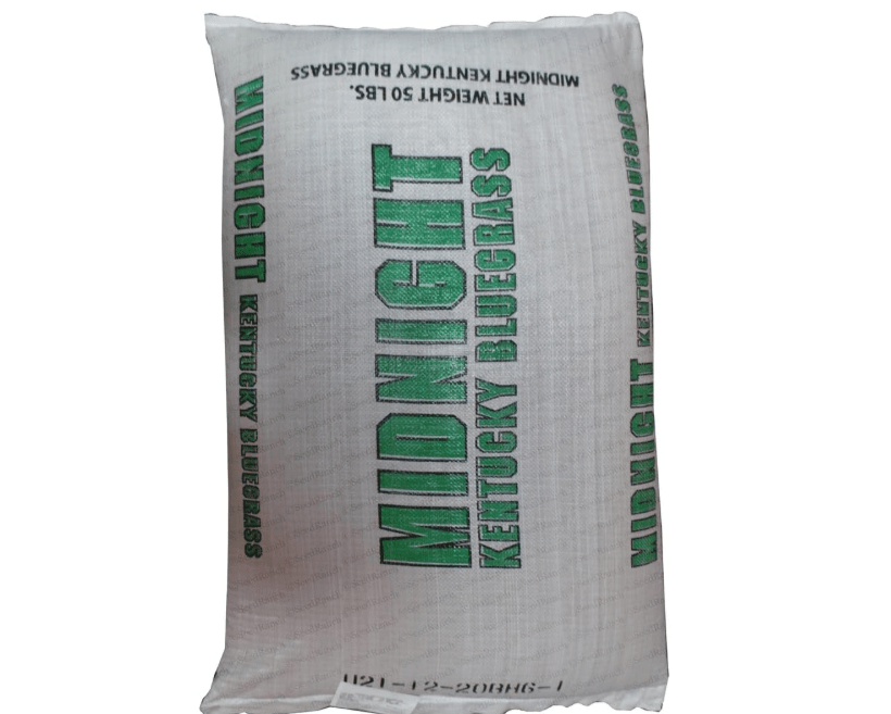 
SeedRanch Midnight Kentucky Bluegrass Seed (Certified) - 20 Lbs. by SeedRanch Bluegrass