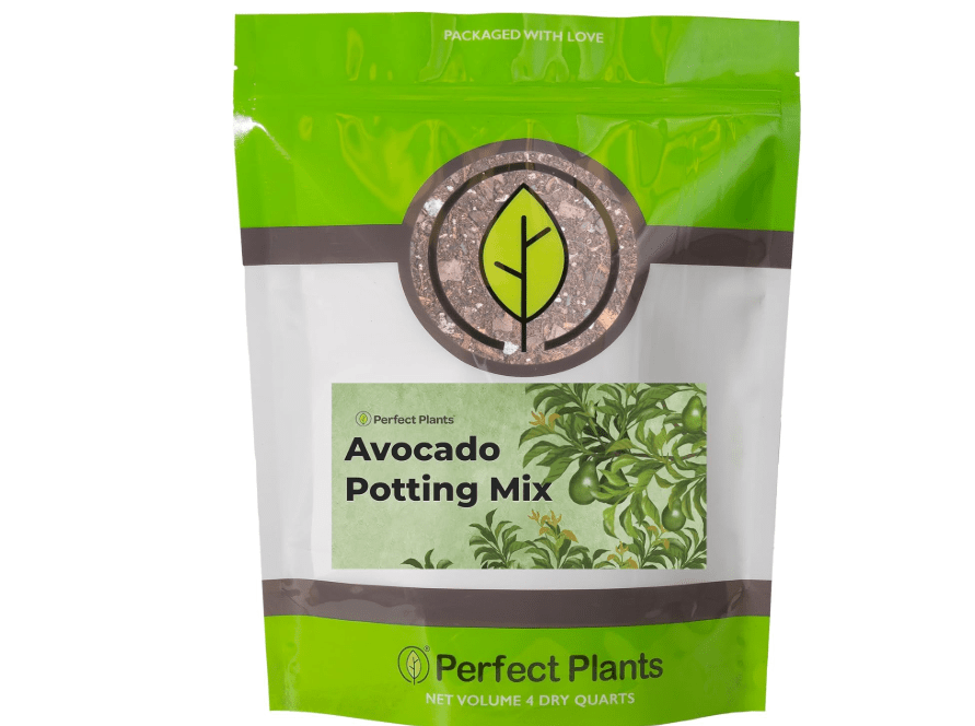  Professional Avocado Potting Mix by Perfect Plants | Premium All-Natural Blend for All Tropical Avocado Trees (4Q