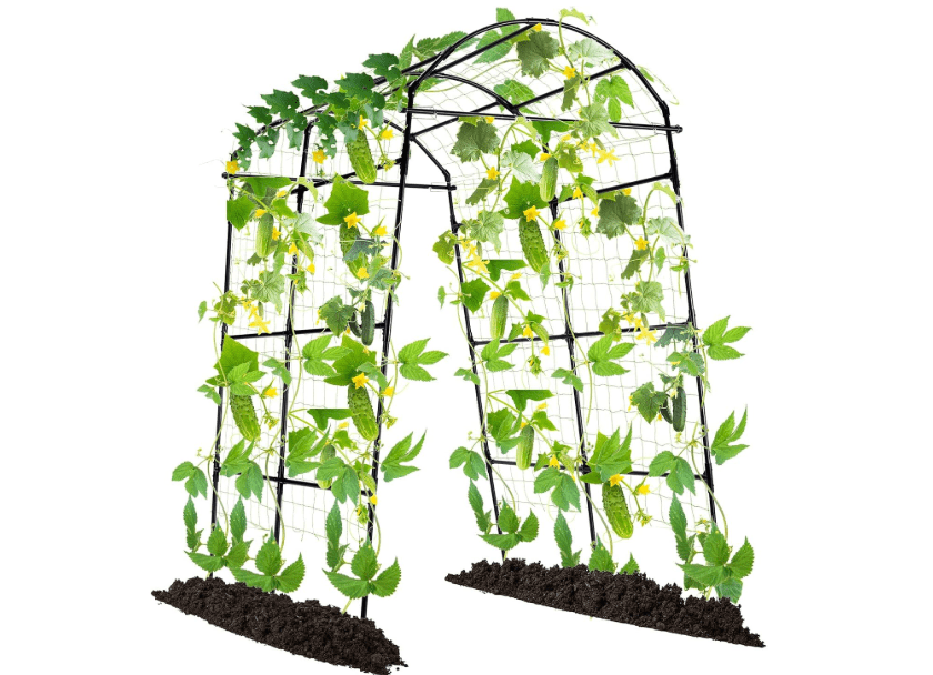 
Lalahoni Garden Arch Trellis for Climbing Plants Outdoor, 7.8 Feet Tall Metal Large Archway Arbor Trellis Vine Plant Vegetables Squash Pumpkin Peas Beans