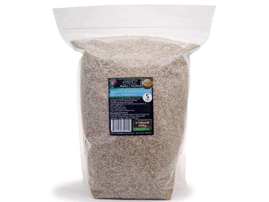
Kentucky 31 K31 Tall Fescue Grass Seed by Eretz - Choose Size! State Certified, No fillers, No Weed or Other Crop Seeds