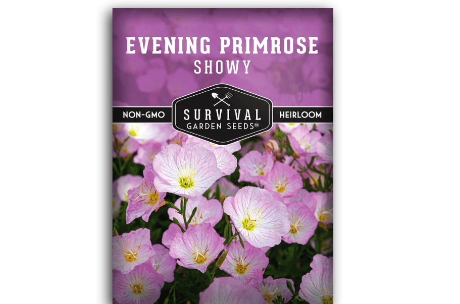 
Showy Evening Primrose Seed for Planting - 1 Packet with Instructions to Plant and Grow Pinkladies in Your Home Flower Garden - Non-GMO Heirloom Variet