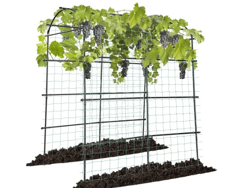 
VIVOSUN 7Ft. Arch Trellis for Climbing Plants, 7 x 6 x 7ft Tall Metal Tunnel Trellis, Lightweight Metal Plant Support Archway with Nylon Netting 