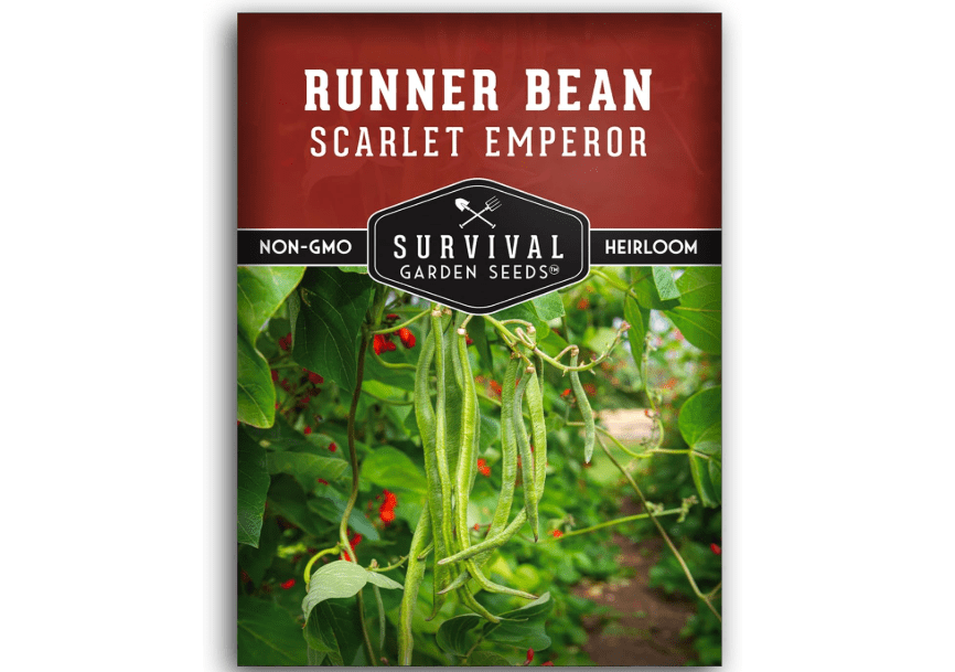 
Survival Garden Seeds Scarlet Emperor Runner Bean Seeds for Planting - 1 Packet with Instructions to Plant & Grow Red Multiflora Beans in Your Home