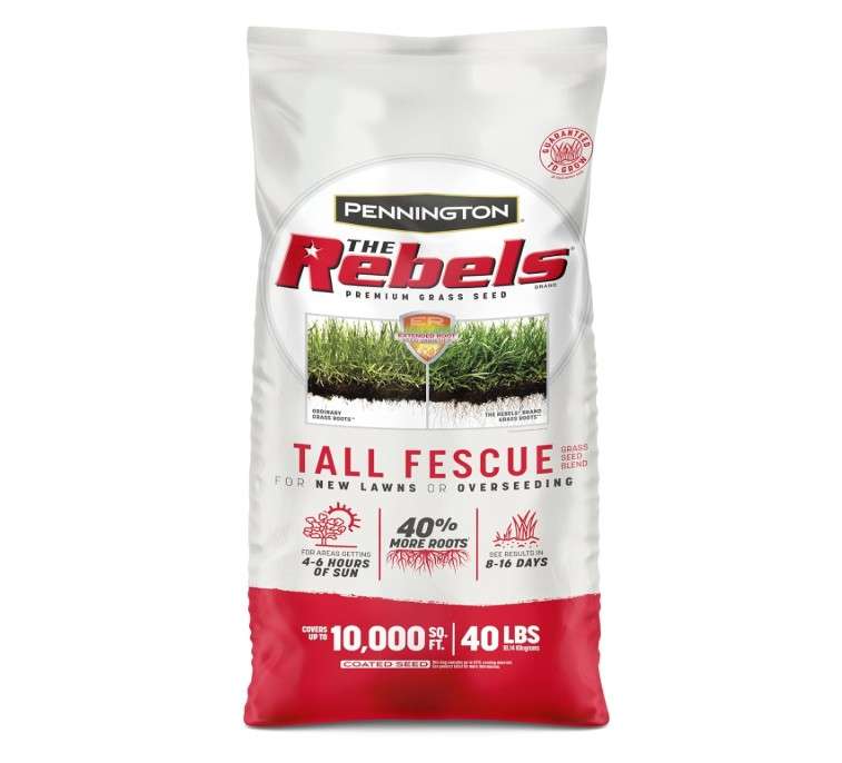  Pennington The Rebels Tall Fescue Grass Seed Mix 3 lb