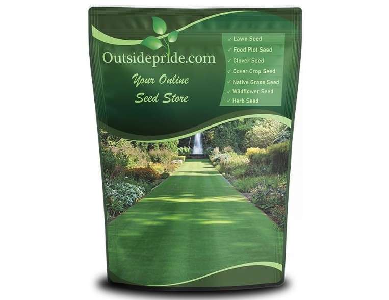  Outsidepride Legacy Fine Fescue Grass Seed Mix - 10 lbs. Shade & Sun Tolerant Blend of Hard Fescue, Chewings Fescue & Creeping Red Fescue 