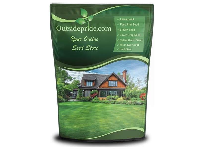 Outsidepride Midnight Kentucky Bluegrass Seed - 10 Lbs. Cold & Drought Tolerant, Sun-Loving Lawn Grass Seed, w/High Traffic Tolerance & Deep Root.